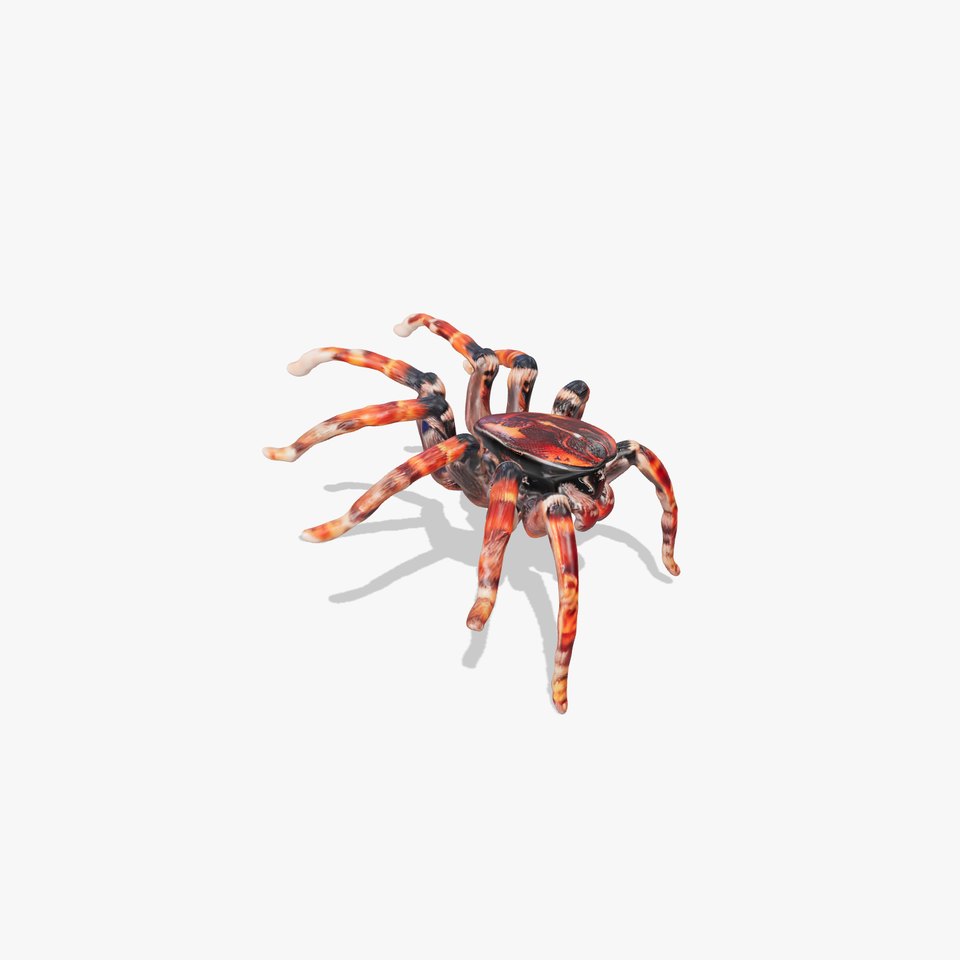 Vibrant Spider model pack