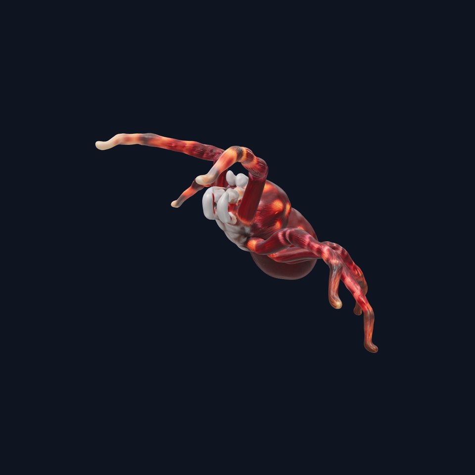 Crimson Tarantula model pack