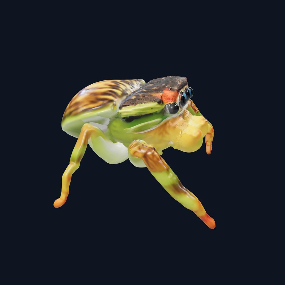 Vibrant Jumping Spider model pack