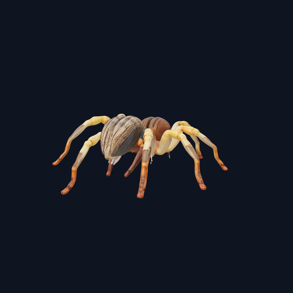 Desert Arachnid Creature model pack