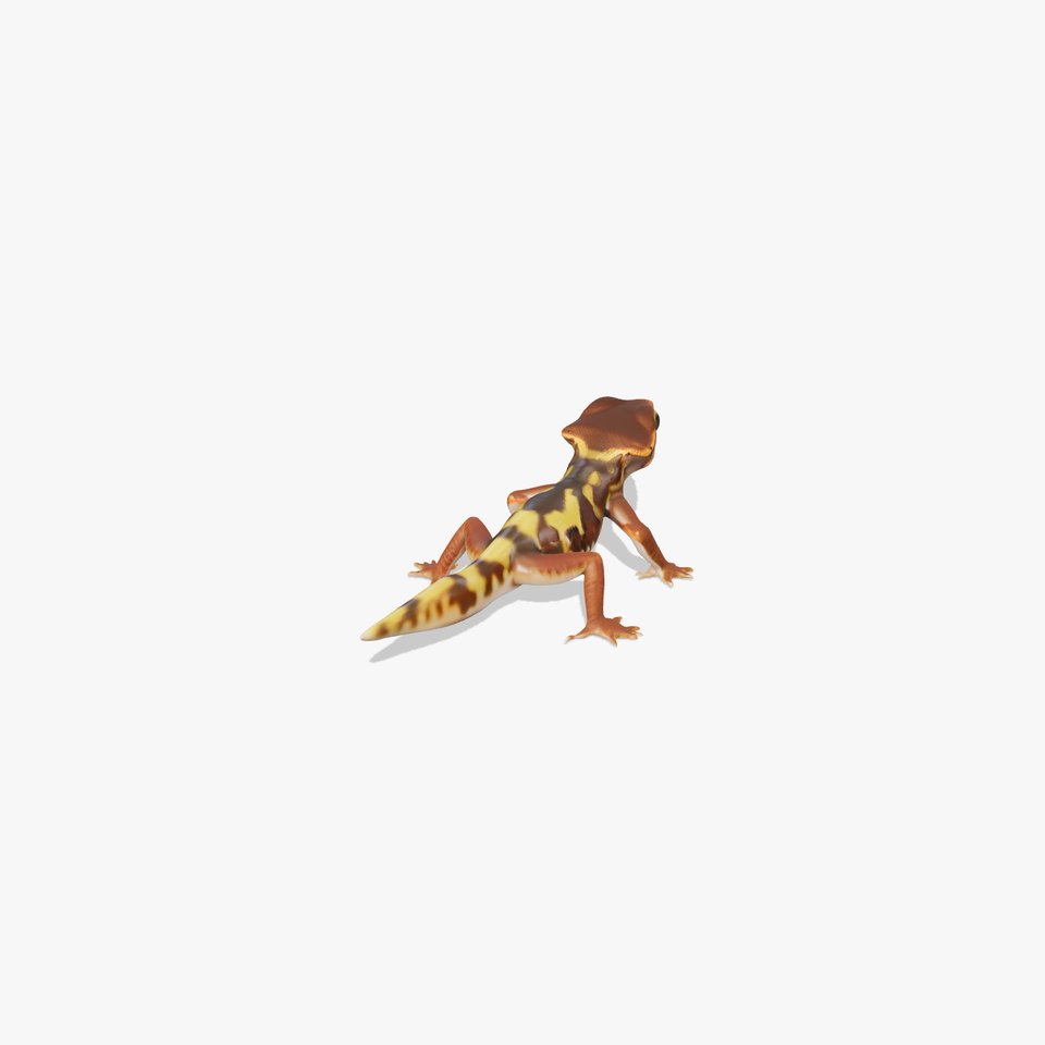 Vivid Gecko model pack