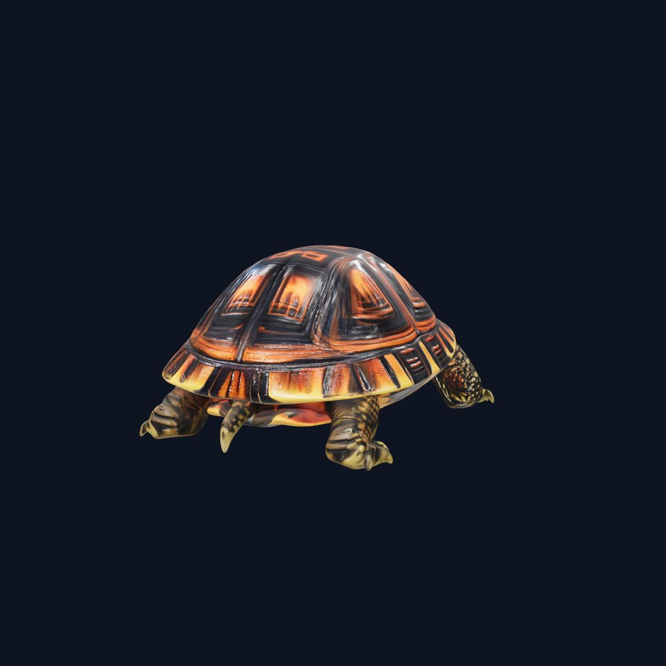 Radiant Tortoise Shell model pack