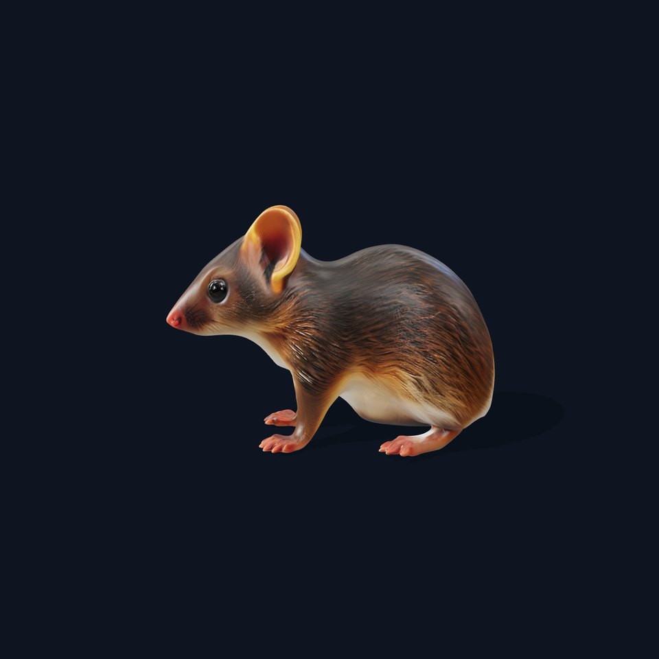 Desert Jerboa model pack