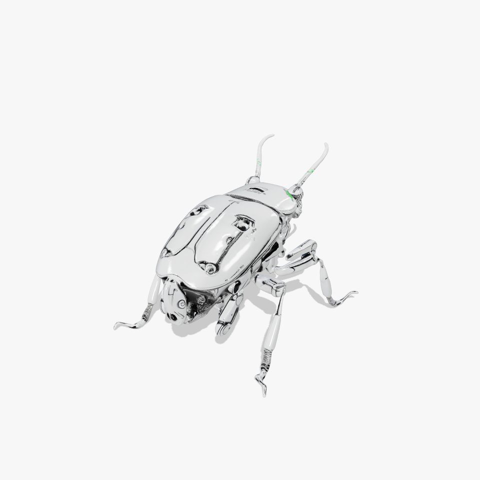 Metallic Robo Beetle model pack
