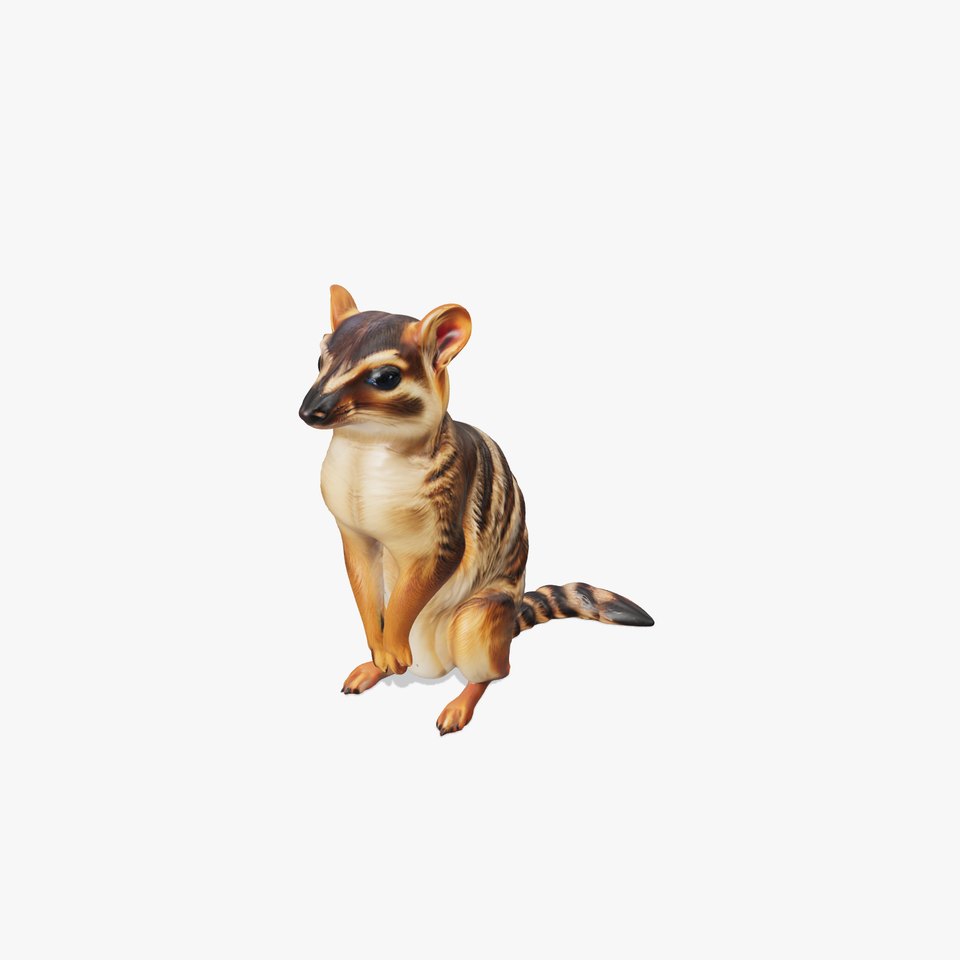 Striped Numbat Creature model pack
