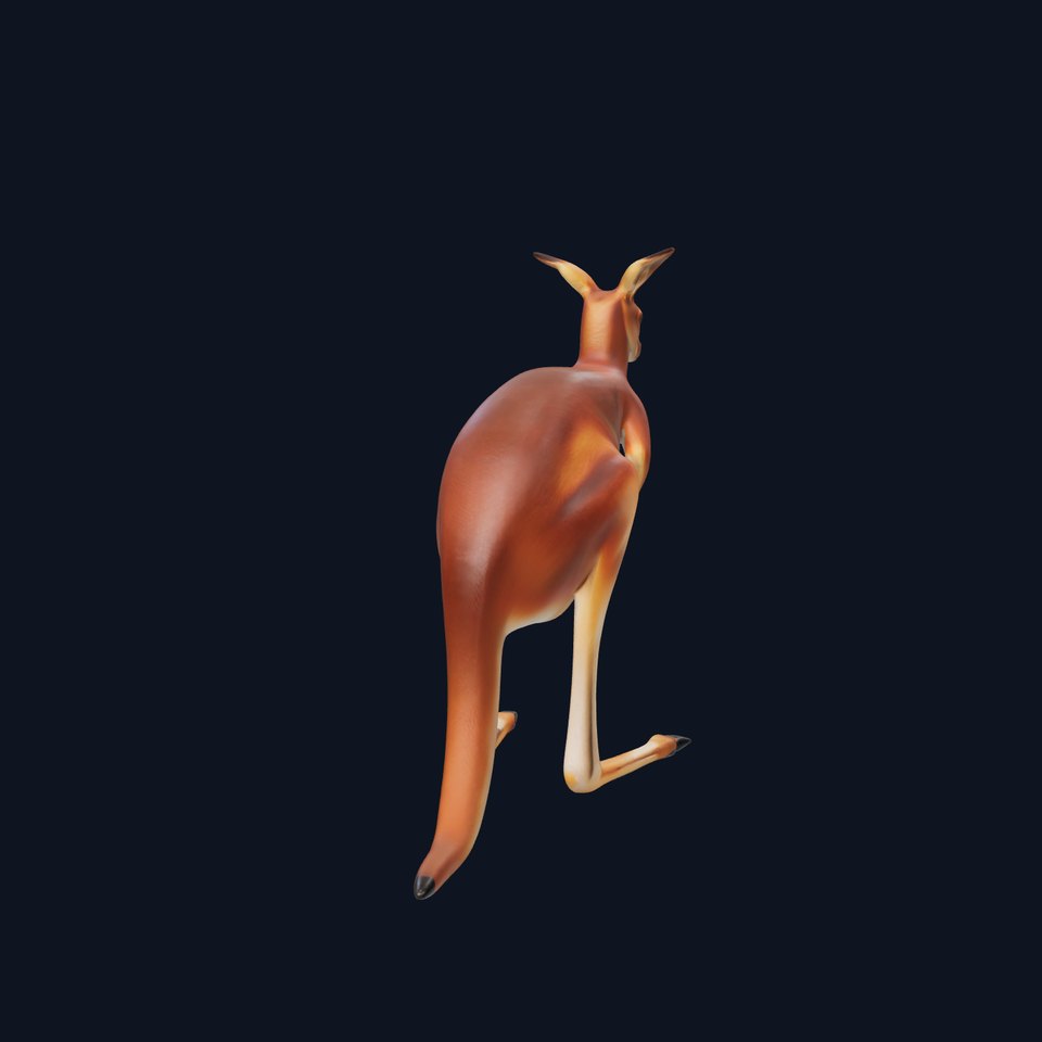 Realistic Kangaroo model pack