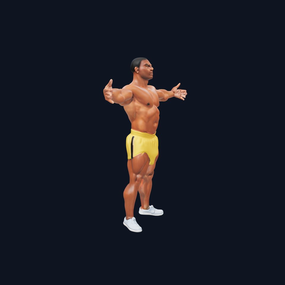 Athletic Male Bodybuilder model pack