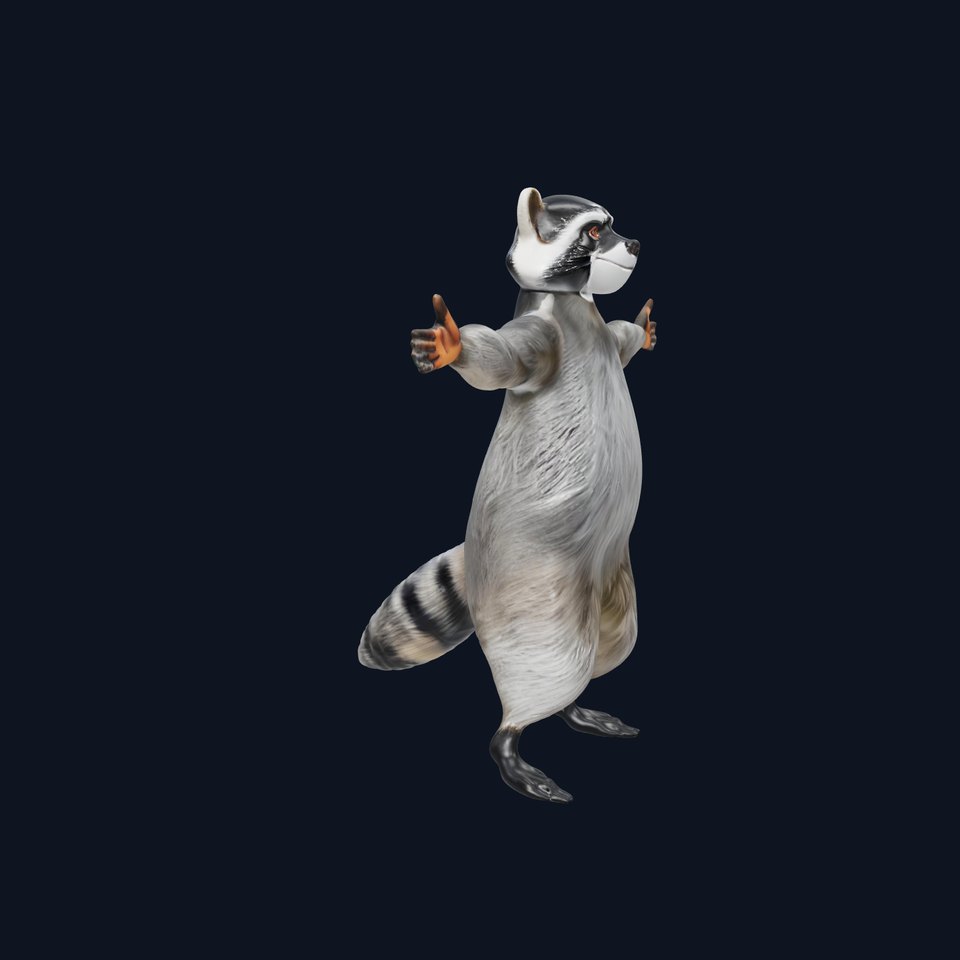 Cheerful Raccoon Character model pack