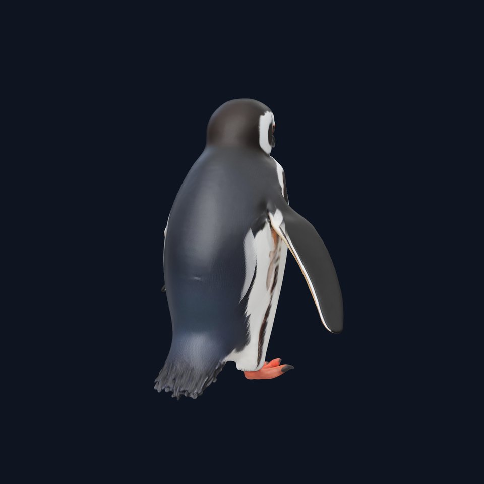 Charming Penguin model pack