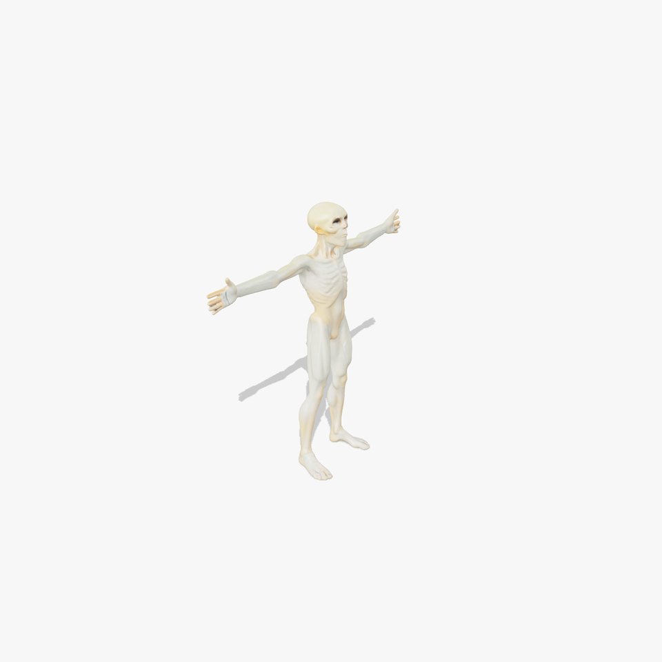 Alien Figure Anatomy model pack