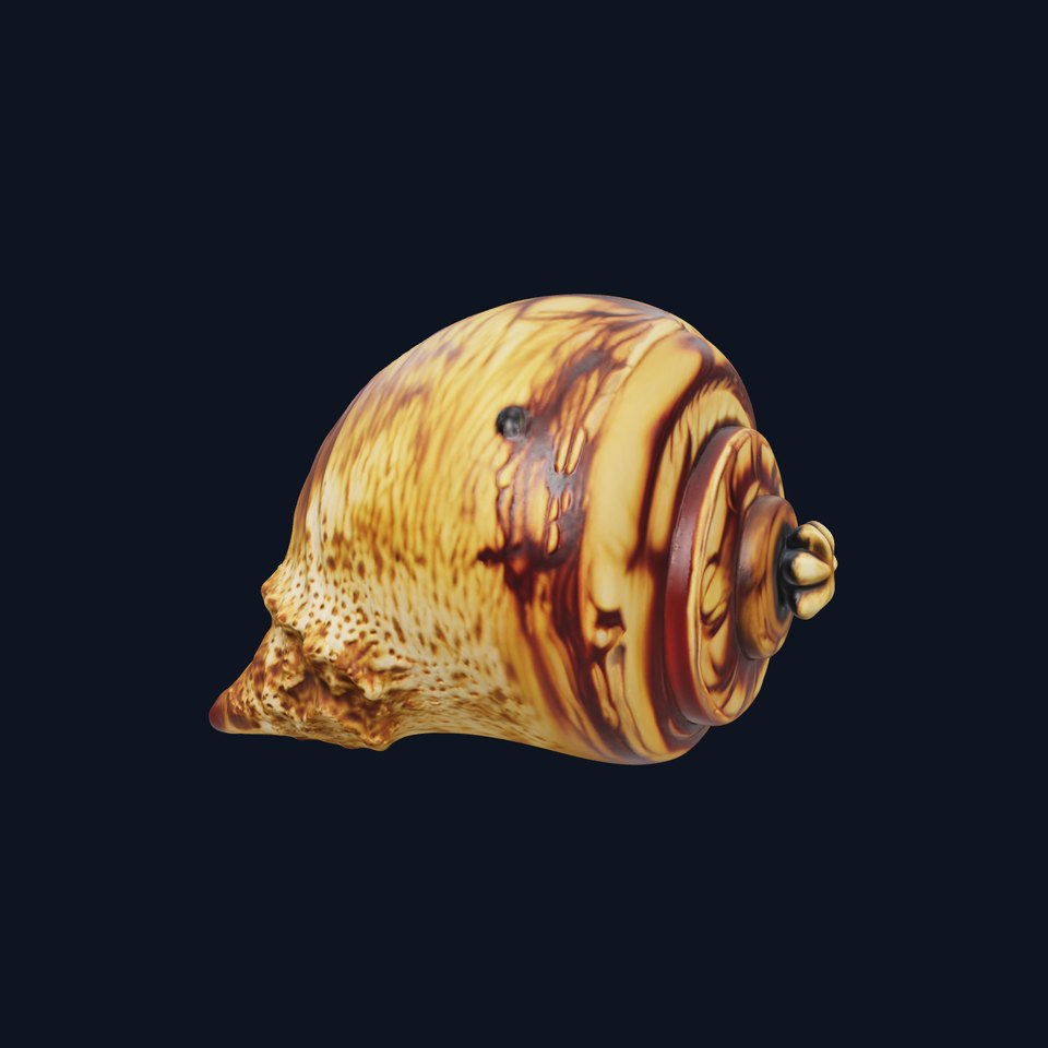 Spiral Seashell model pack