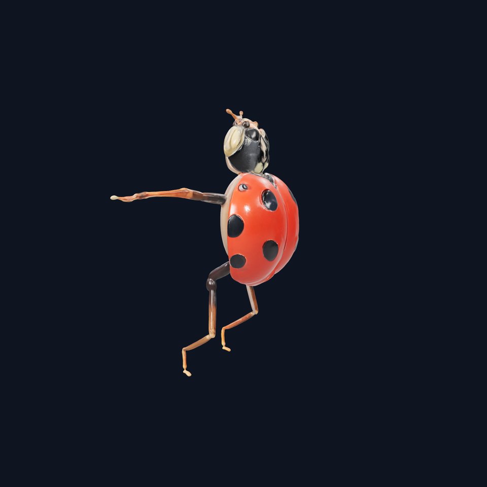 Red Ladybug Insect model pack