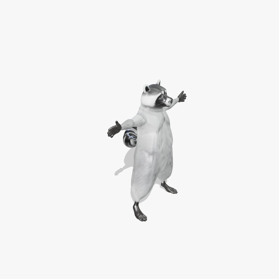 Realistic Raccoon Character model pack
