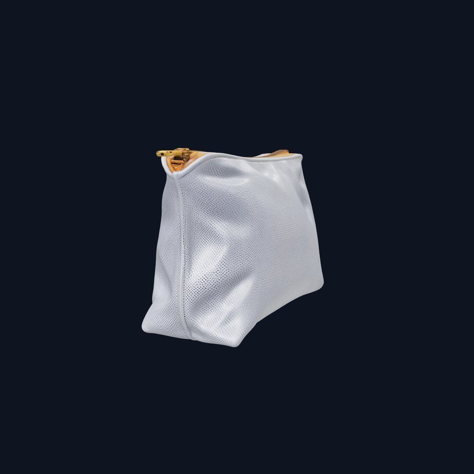 Elegant Pouch model pack