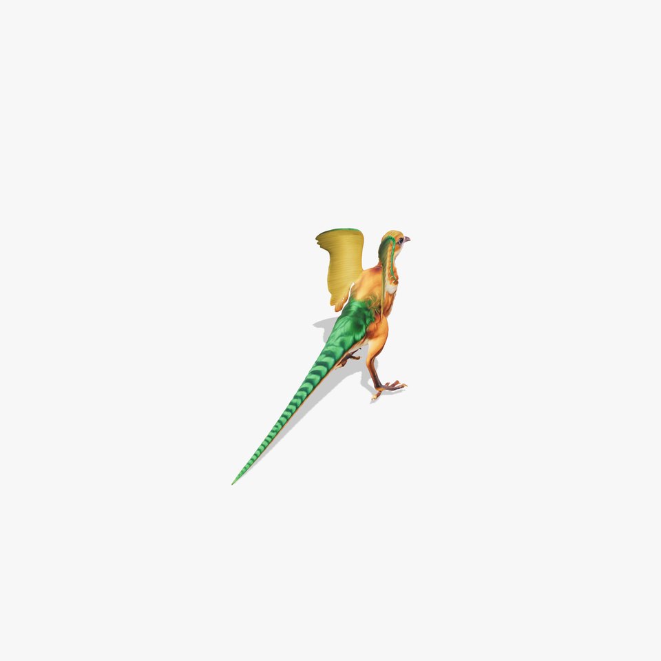 Colorful Archaeopteryx model pack