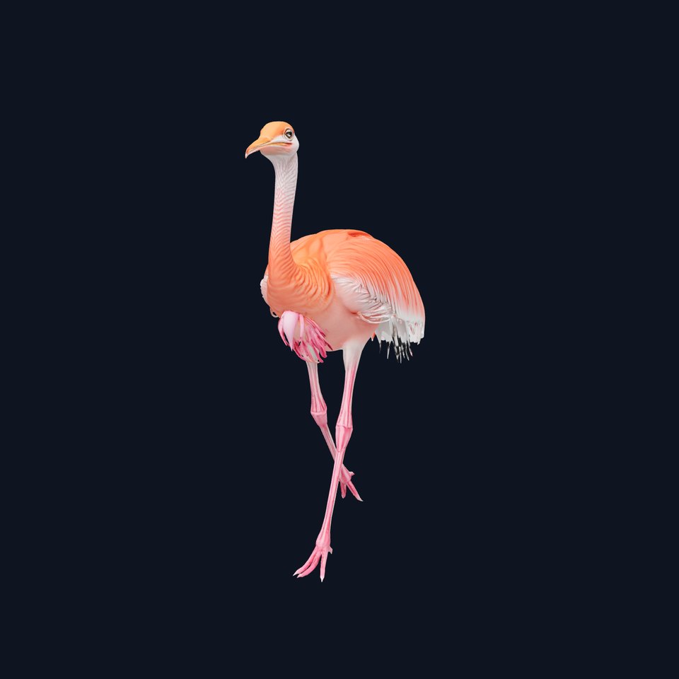 Elegant Flamingo Bird model pack