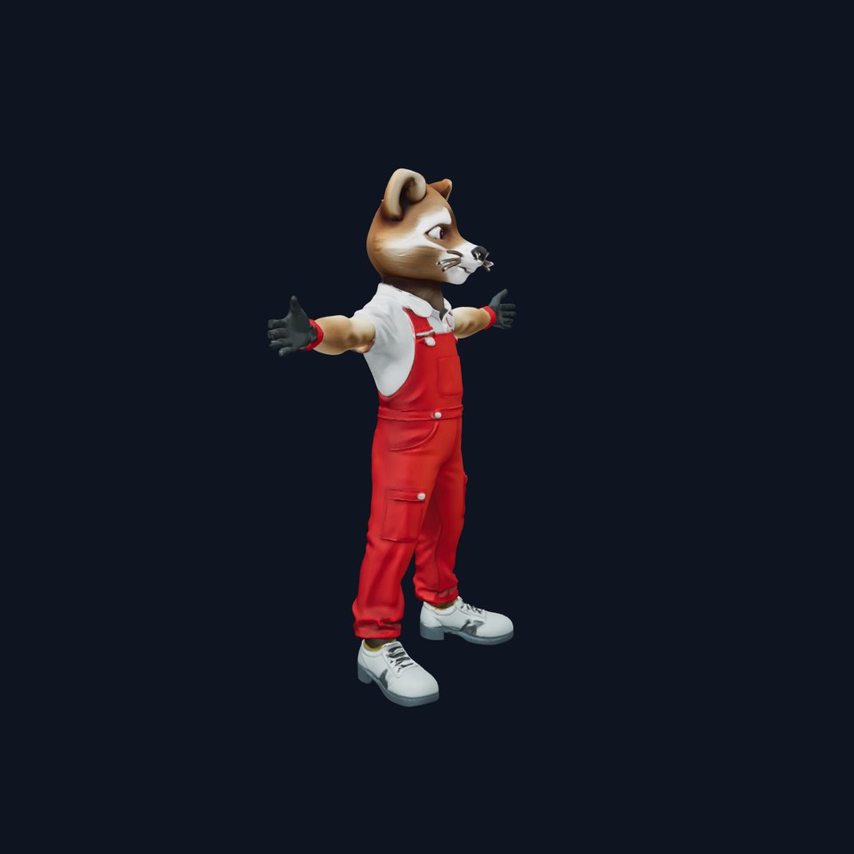 Charming Raccoon Mascot model pack