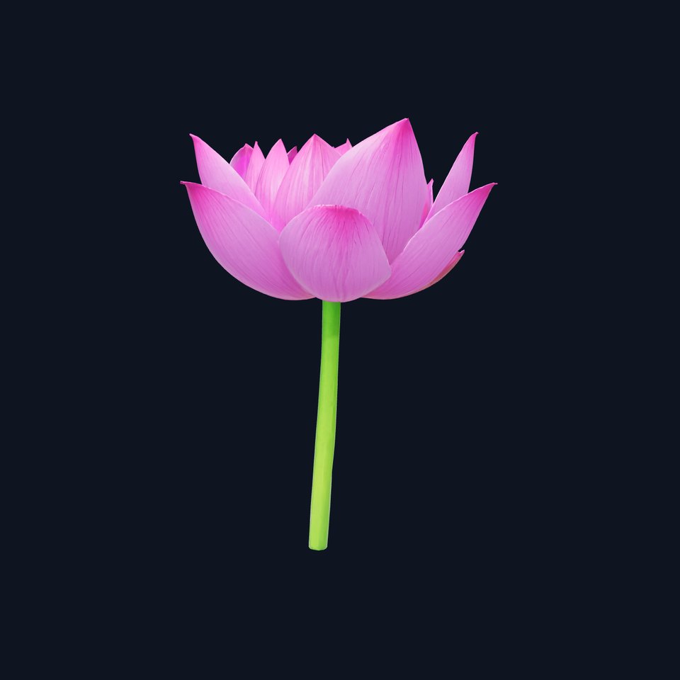 Vibrant Lotus Flower model pack