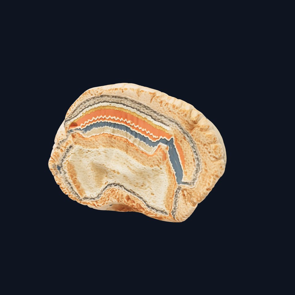 Marbled Wood Texture model pack