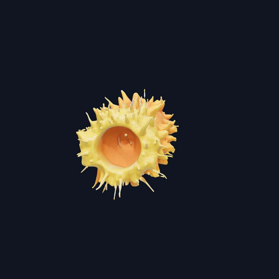 Sea Apple 3D Model with Tubular Body and Feathery Structures