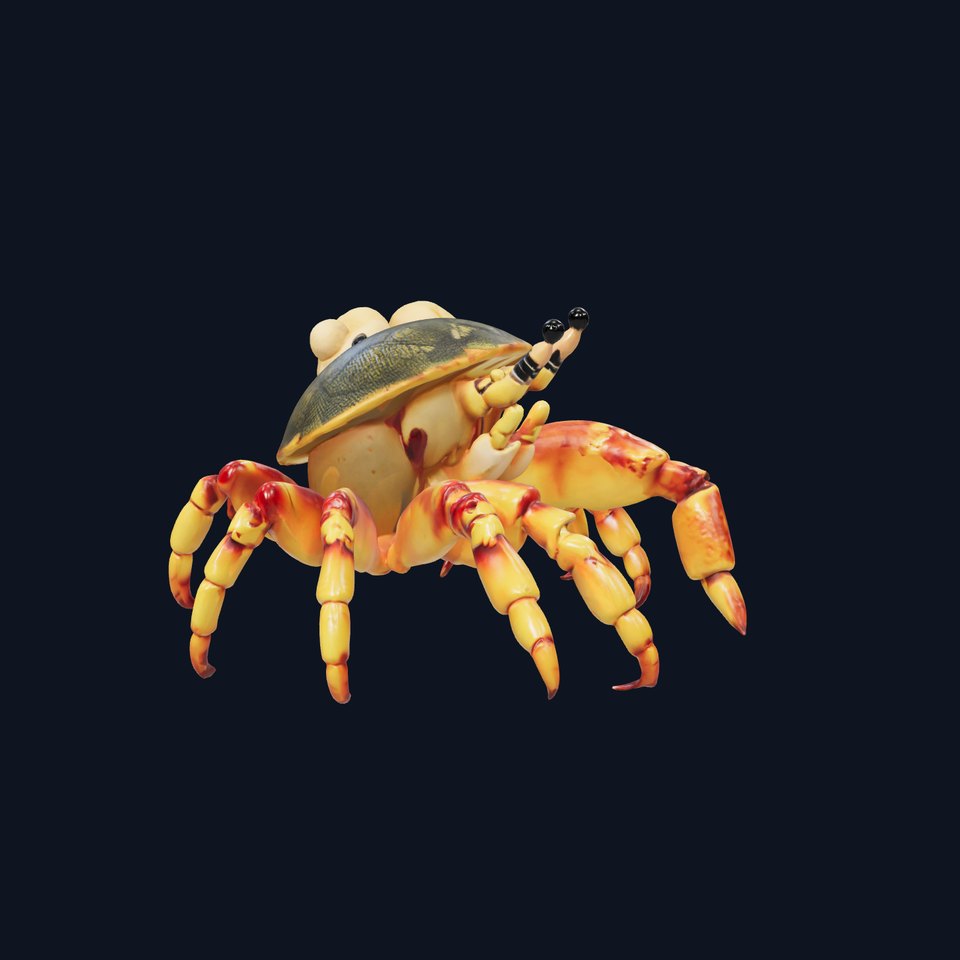 Realistic Hermit Crab with Borrowed Shell 3D Model