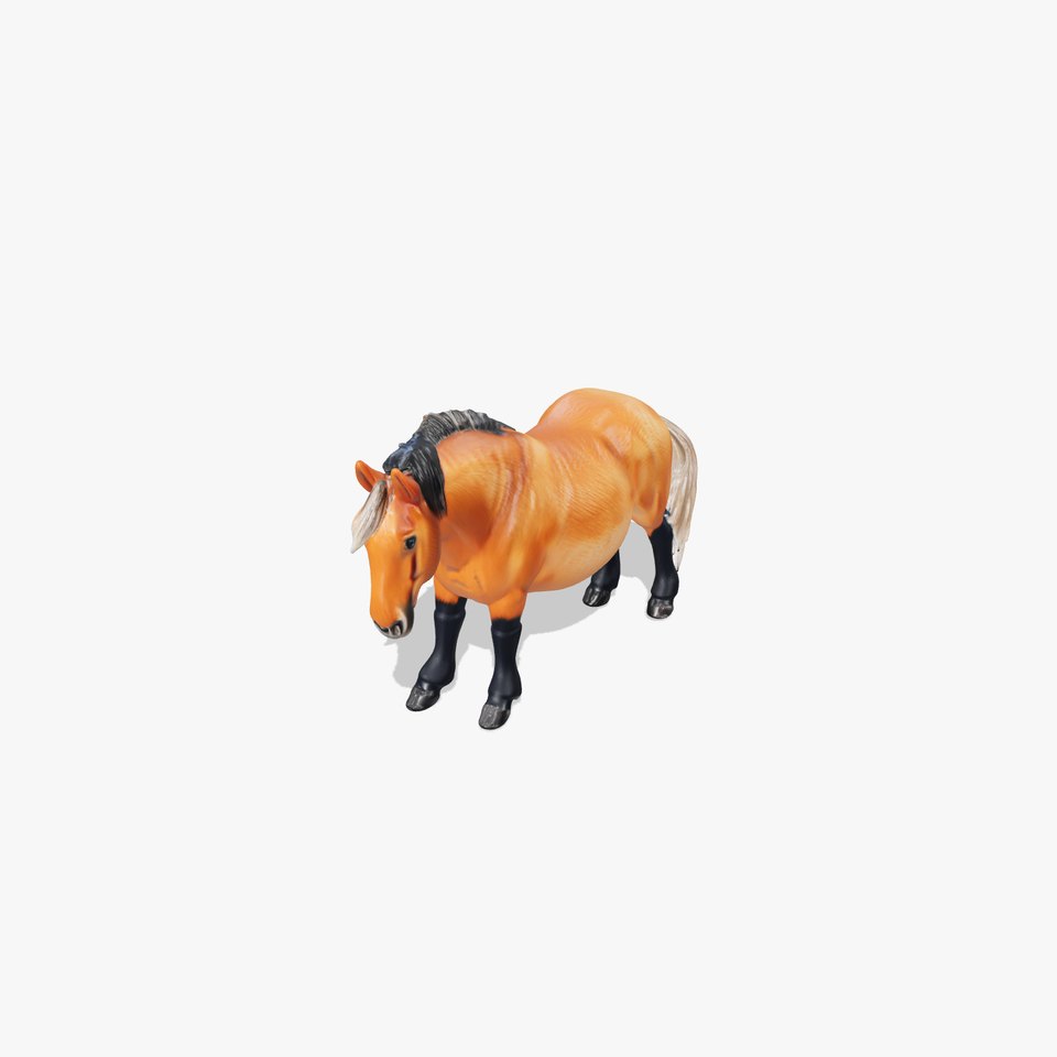 Buckskin Morgan Horse with Tan Coat and Black Points