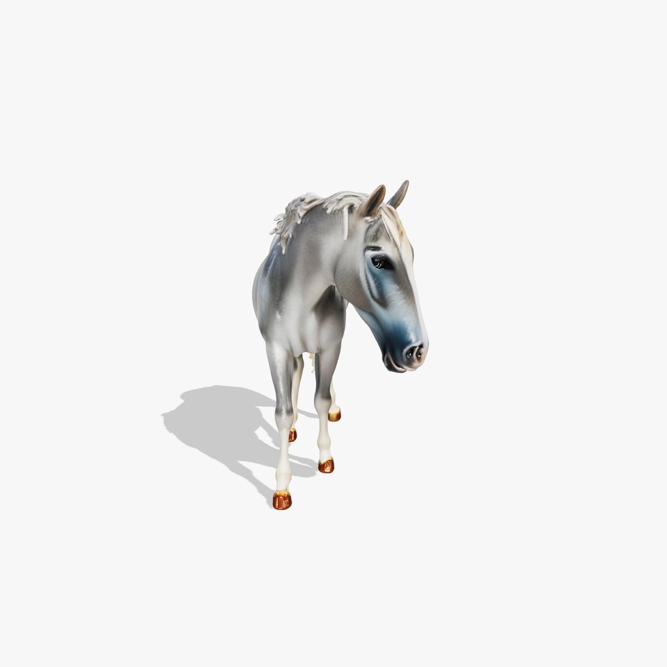 Gray Warmblood Horse with White Transition