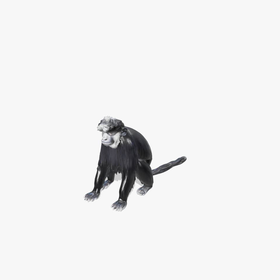 Black Crested Gibbon 3D Model with Detailed Fur