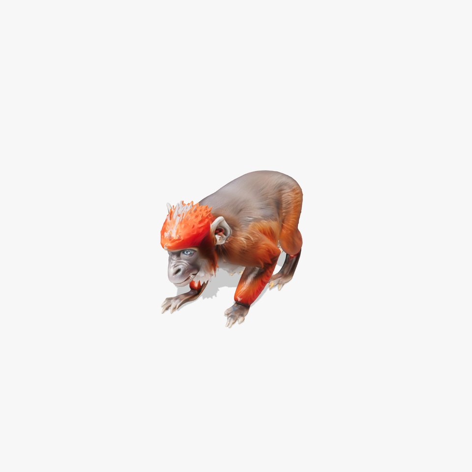 Red Colobus Monkey 3D Model with Rusty Red Tones and Black Markings