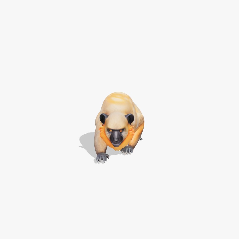 Douc Langur Monkey with Vibrant Fur Textures 3D Model