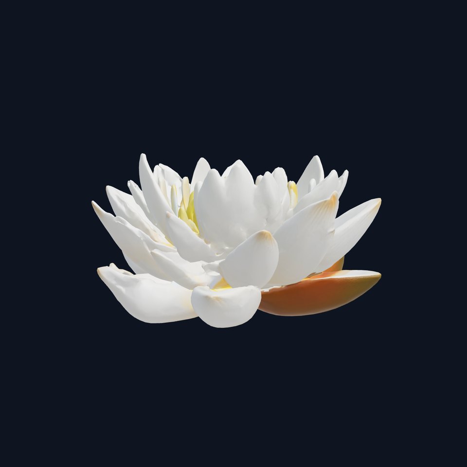 Mystical Water Lily with Glowing Center model pack