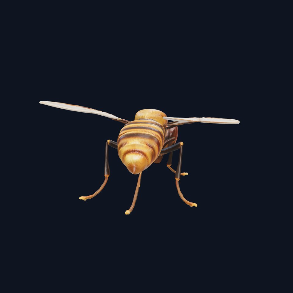 Realistic Hoverfly Insect Model Pack