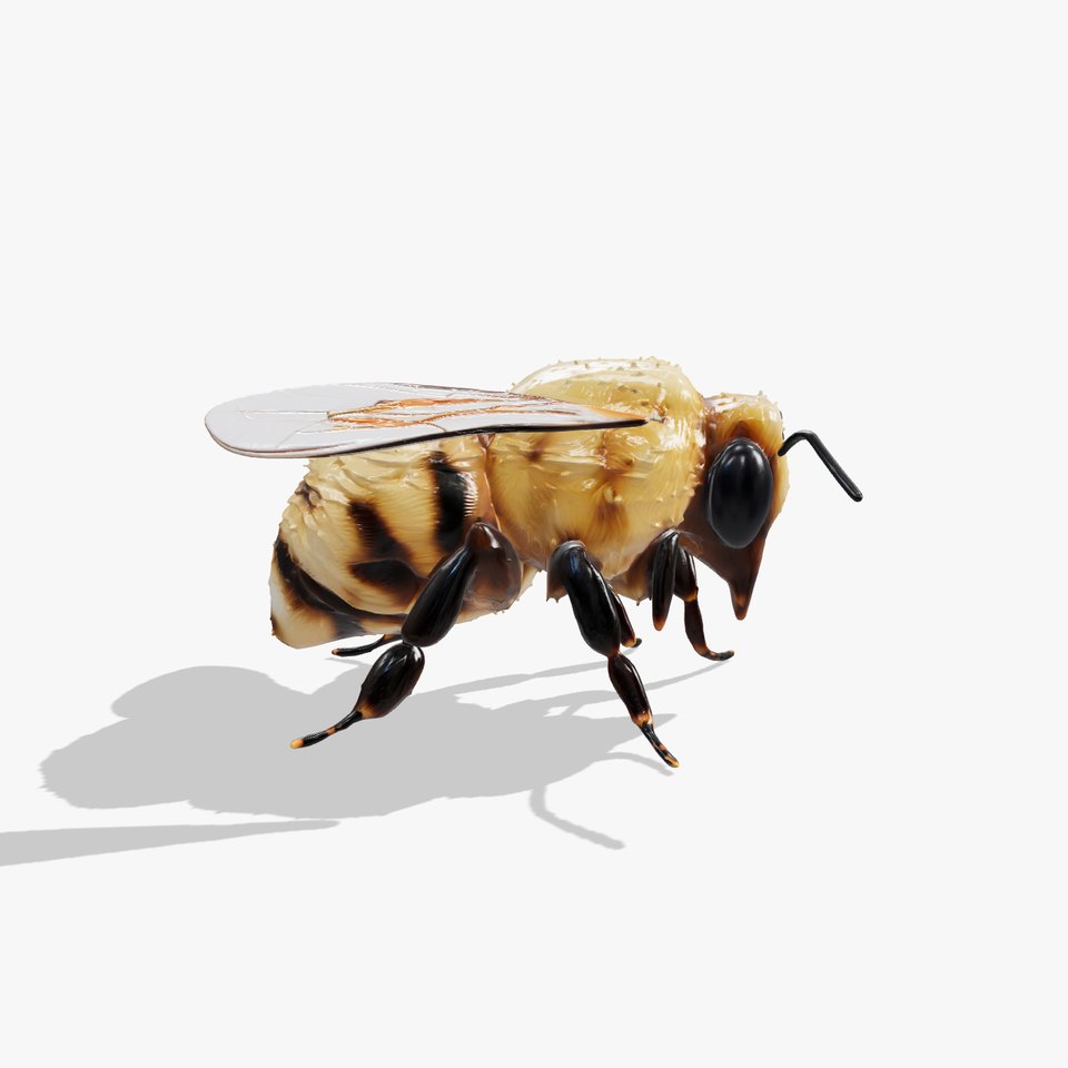 Authentic Bumblebee Model Pack with Detailed Texturing