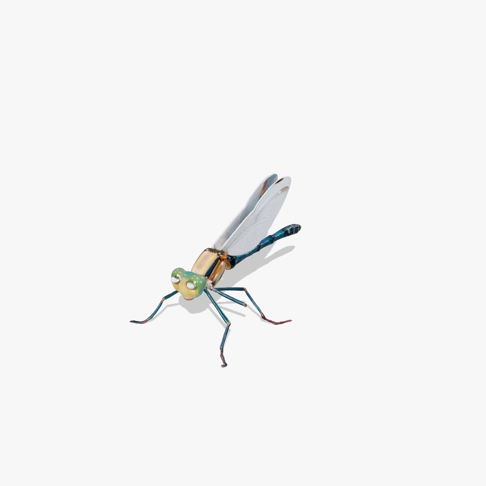 Lifelike Dragonfly Iridescent Wings model pack