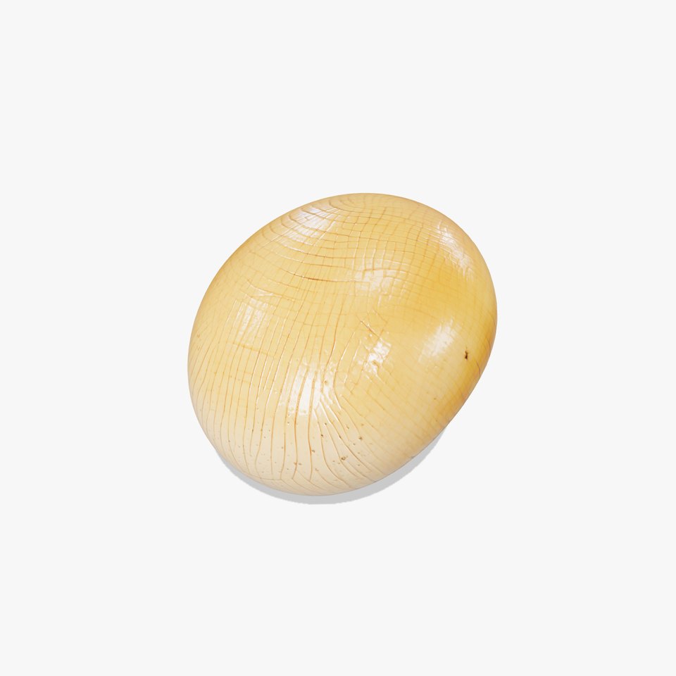 Shiitake Mushroom Photorealistic 3D model pack