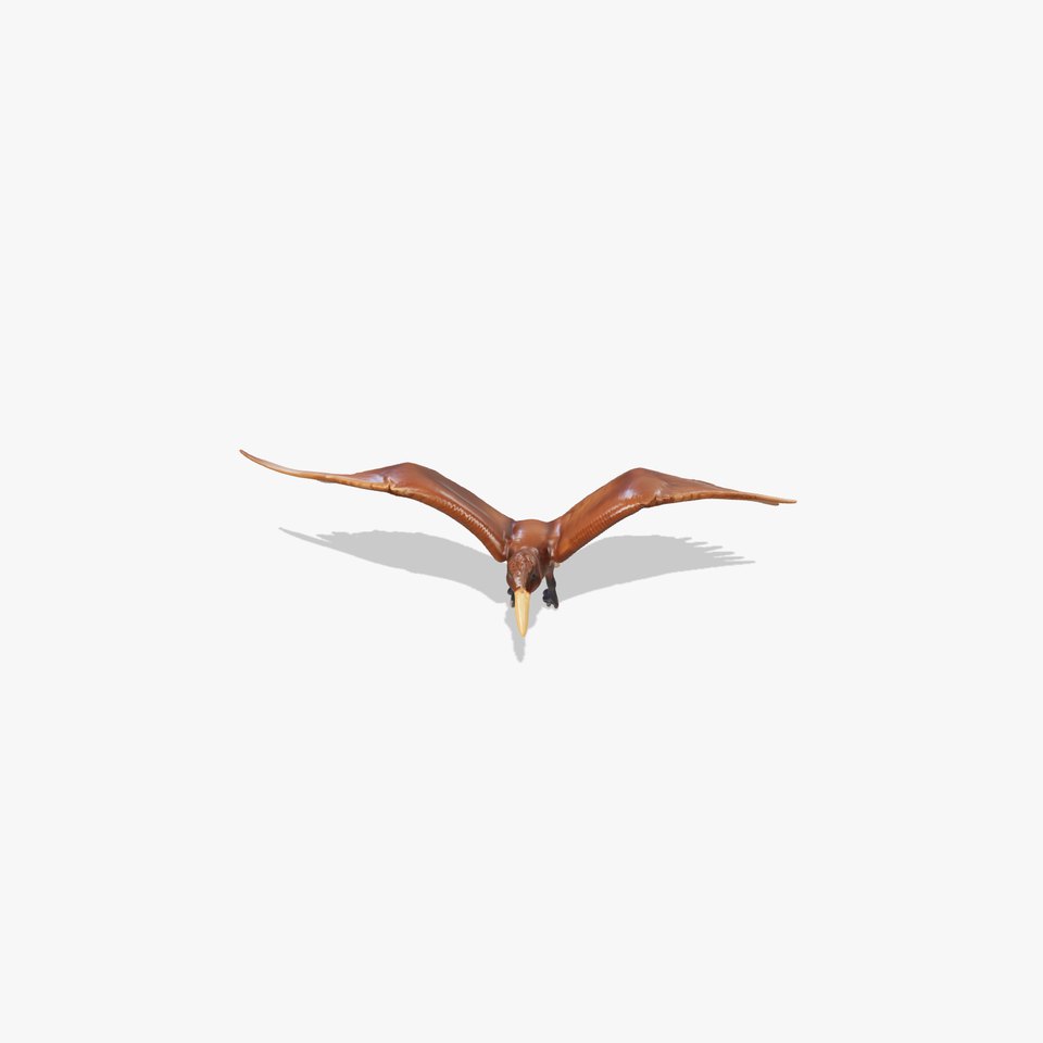 Pterodactyl Dynamic Flying Sculpture model pack