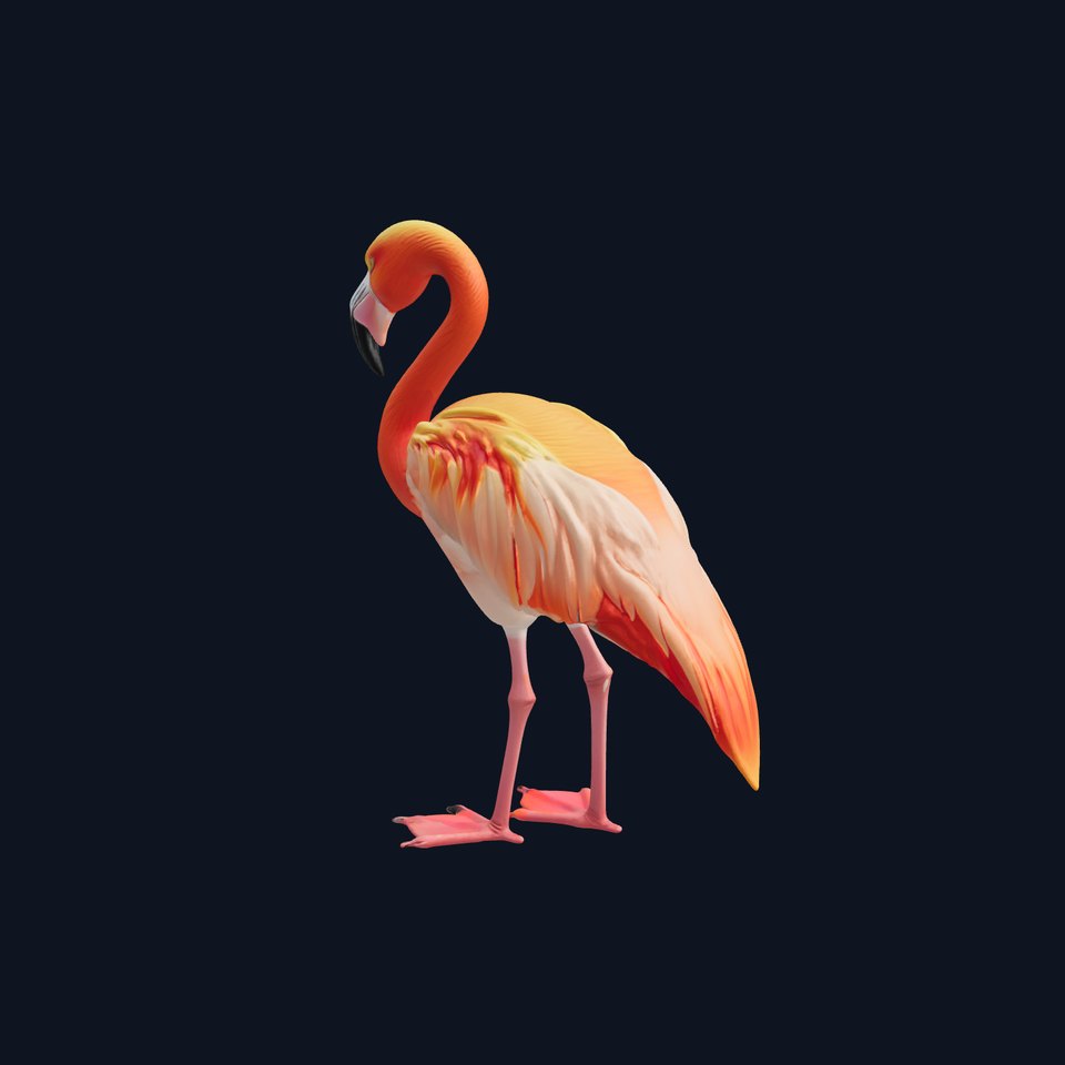 Vibrant Pink Flamingo Model Pack