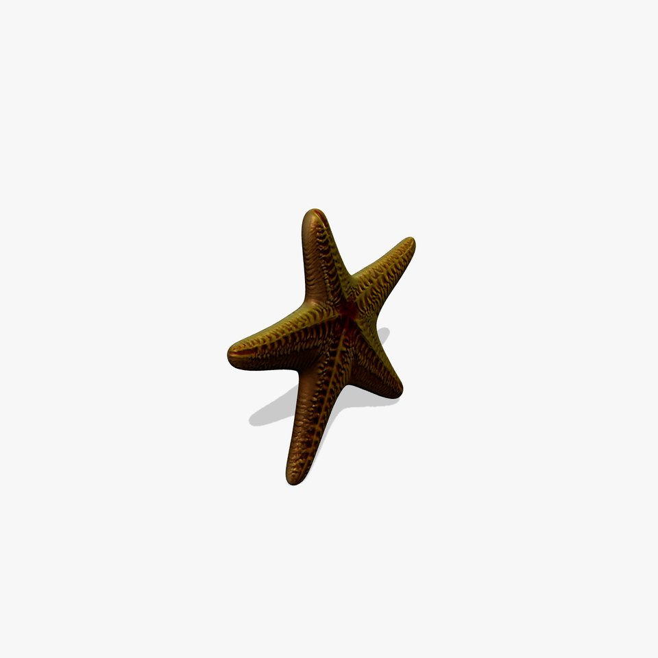 Textured Starfish Marine Creatures model pack