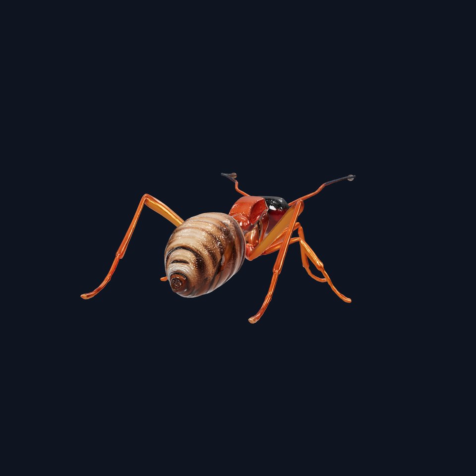 Desert Ant Golden Brown model pack