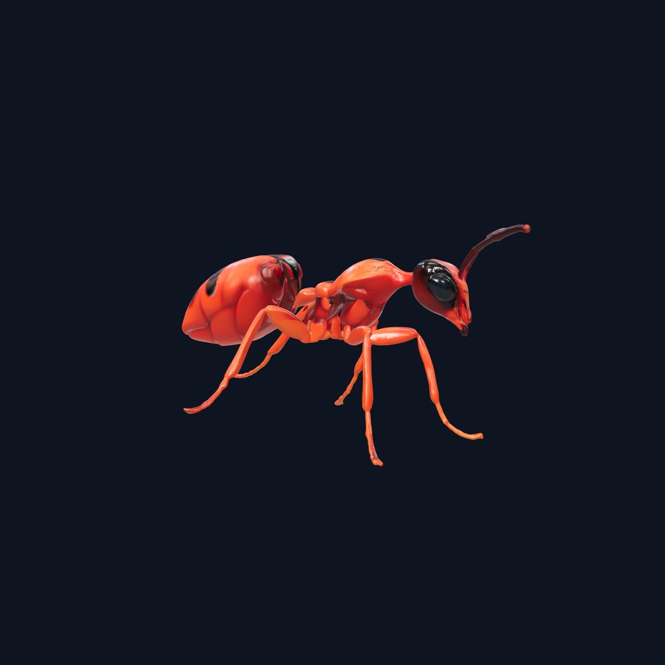 Red Soldier Ant Realistic 3D Model Pack