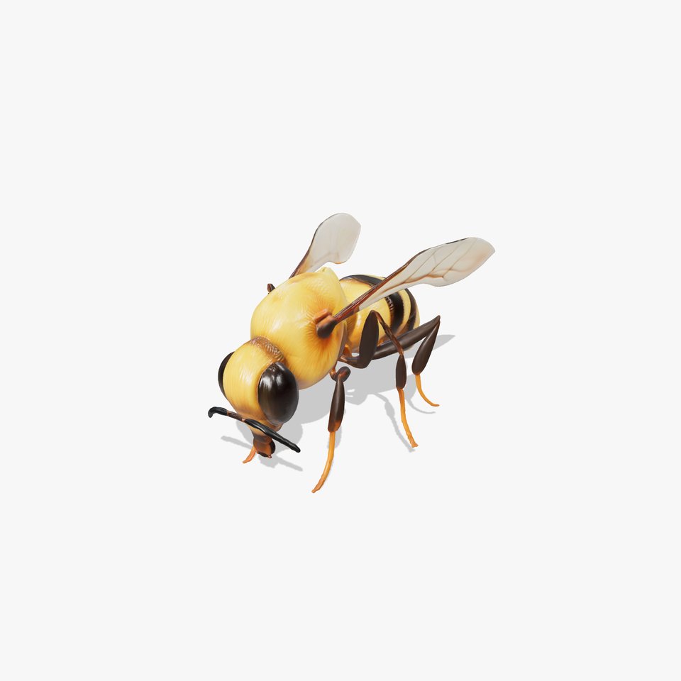 Dwarf Bee Intricate Detail Model Pack