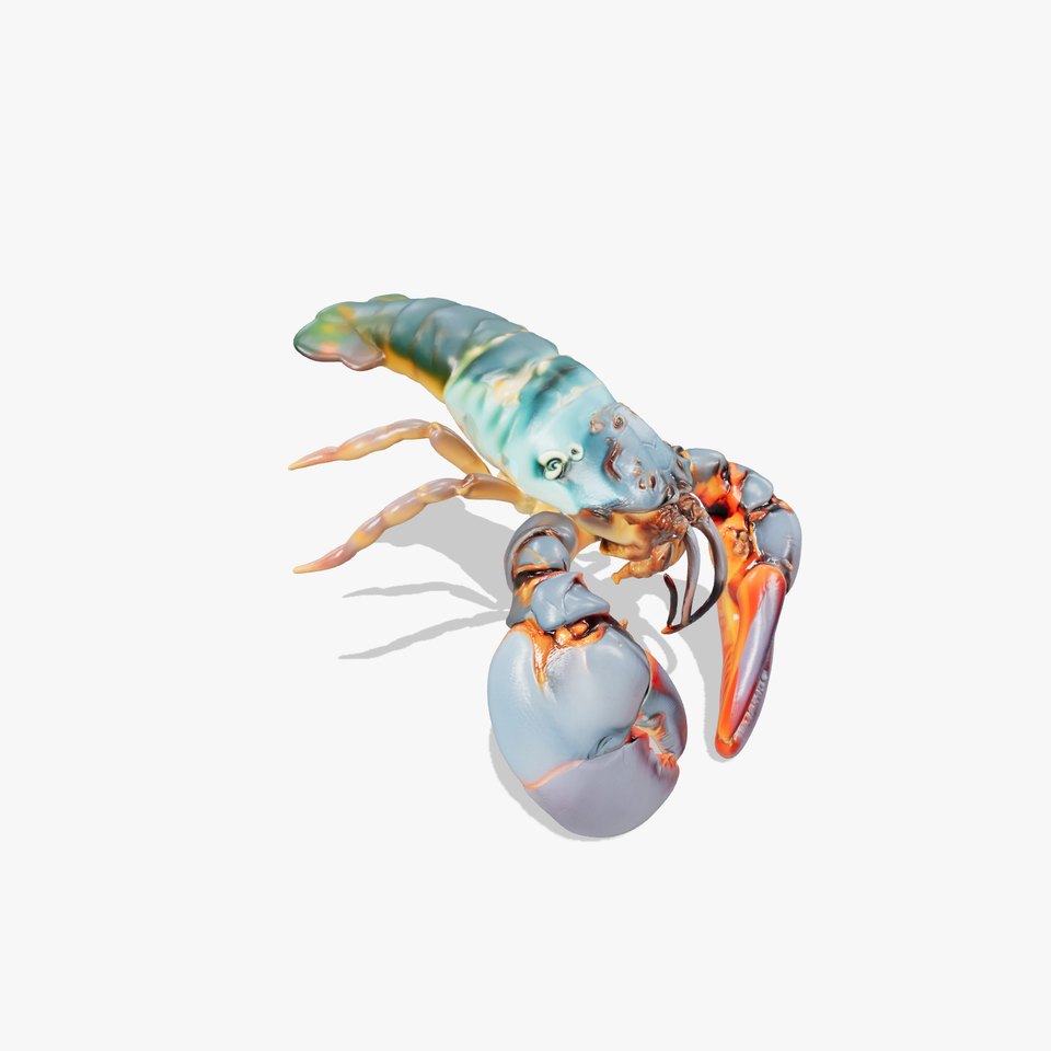 Lobster Realistic Textured Shell Model Pack