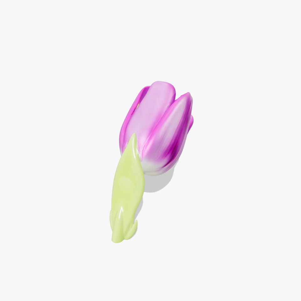 Tulipa Purple Velvety Petals 3D Model Pack