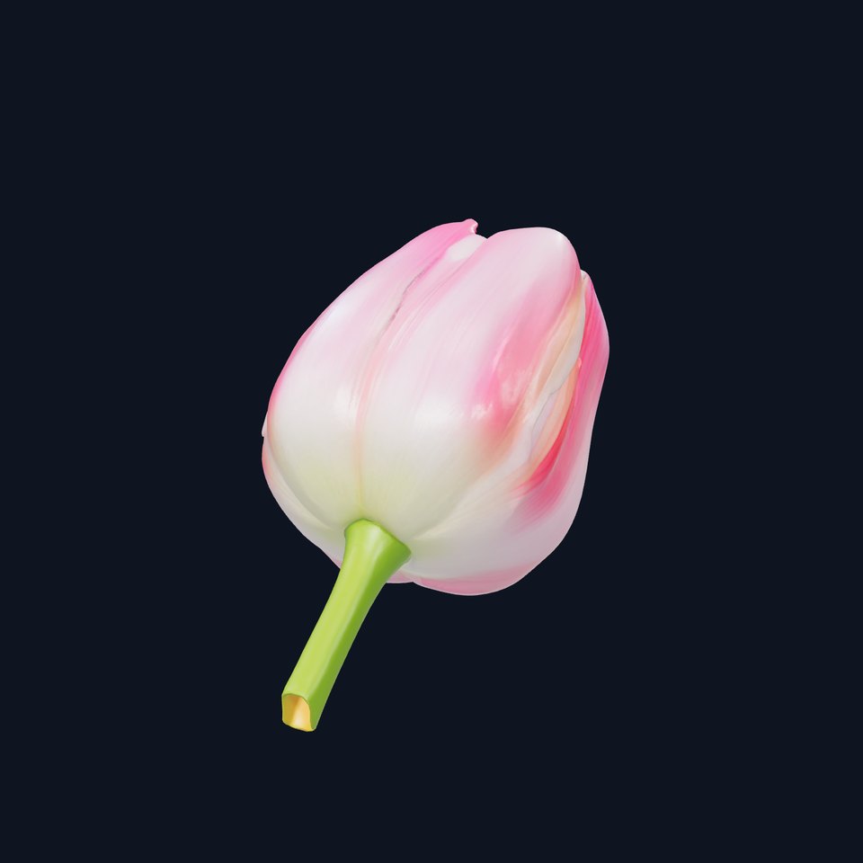 Pink Tulip Flower Realistic Model Pack