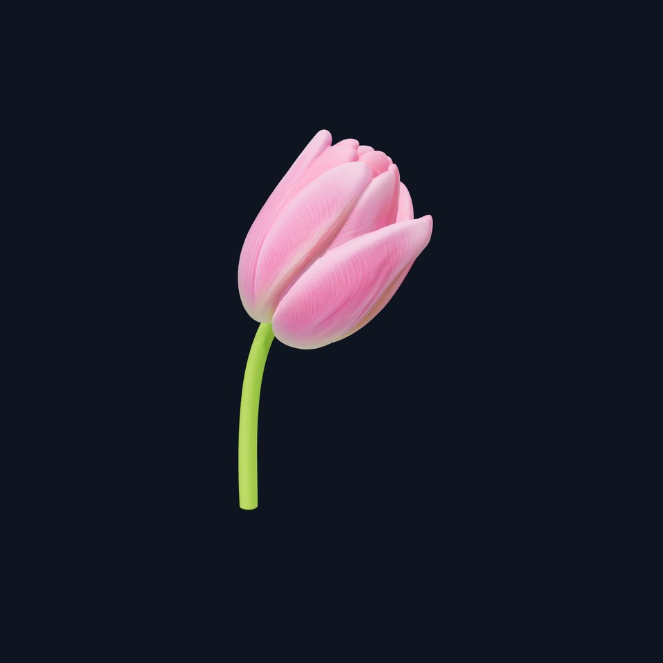 Pink Tulip Light Gradient Petals model pack