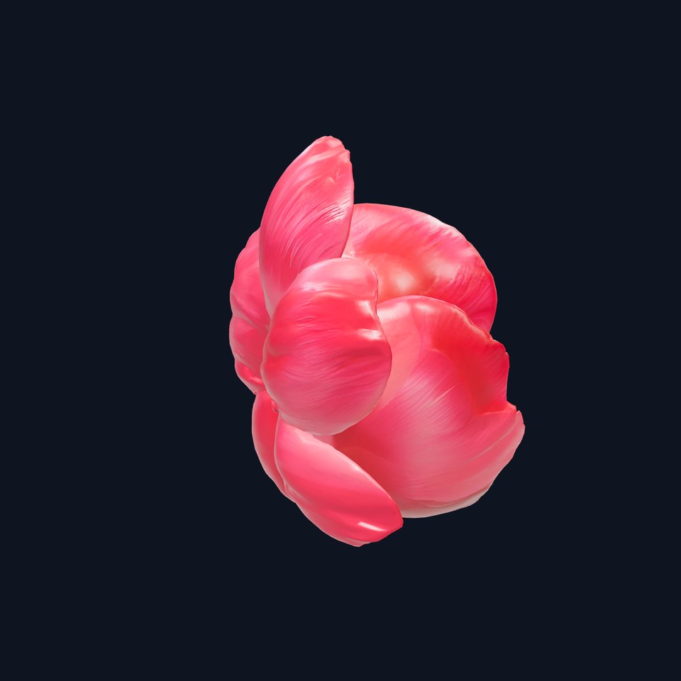 Red Peony Flower 3D Model Pack with Vivid Textures