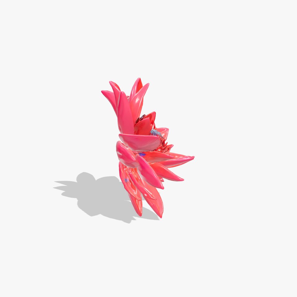 Red Water Lily Nymphaea Model Pack