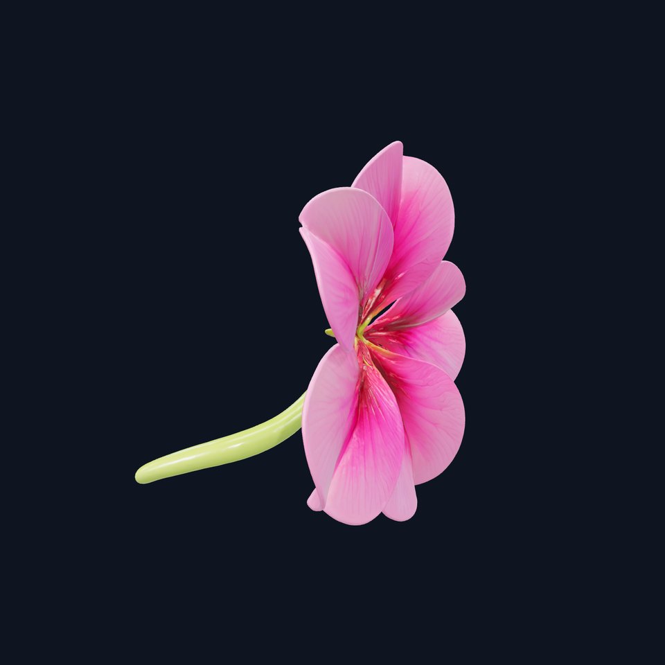 Bicolor Clover Flower 3D Model Pack