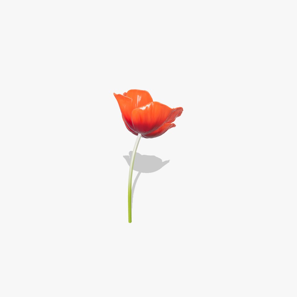 Red Poppy Floral Elegance model pack