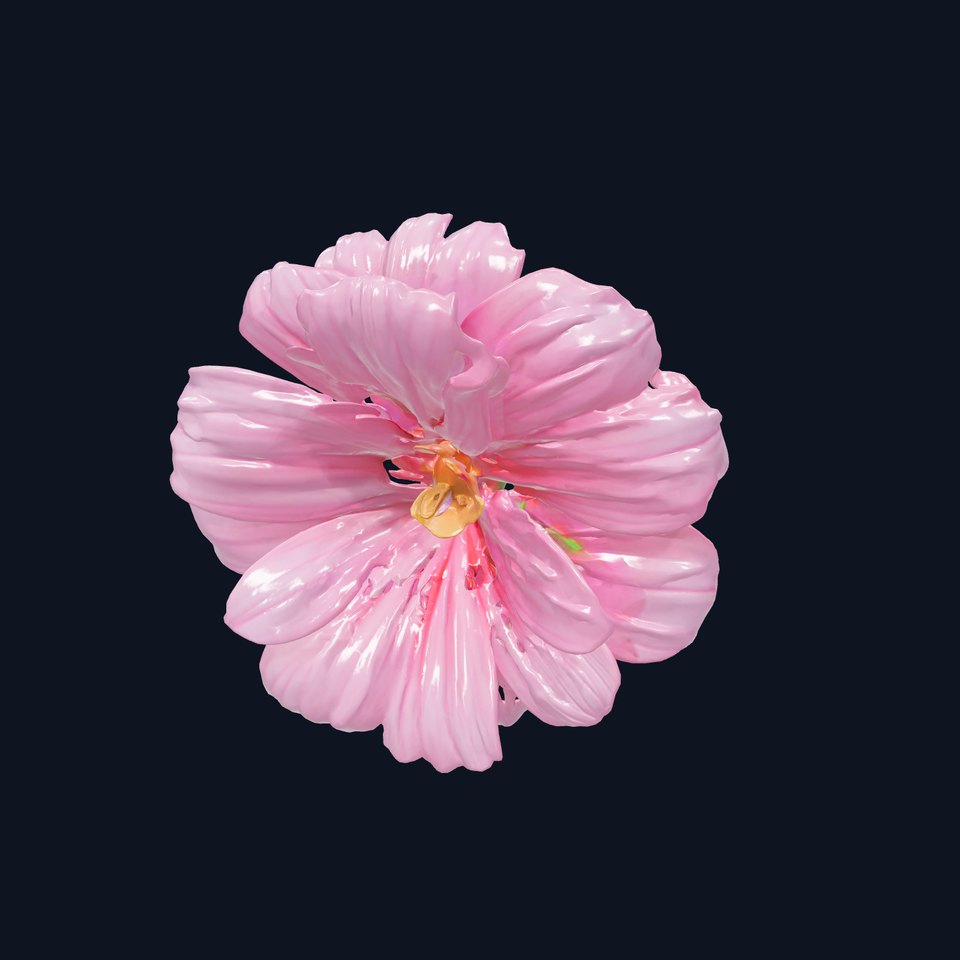 Dianthus Pink Flower Petals model pack